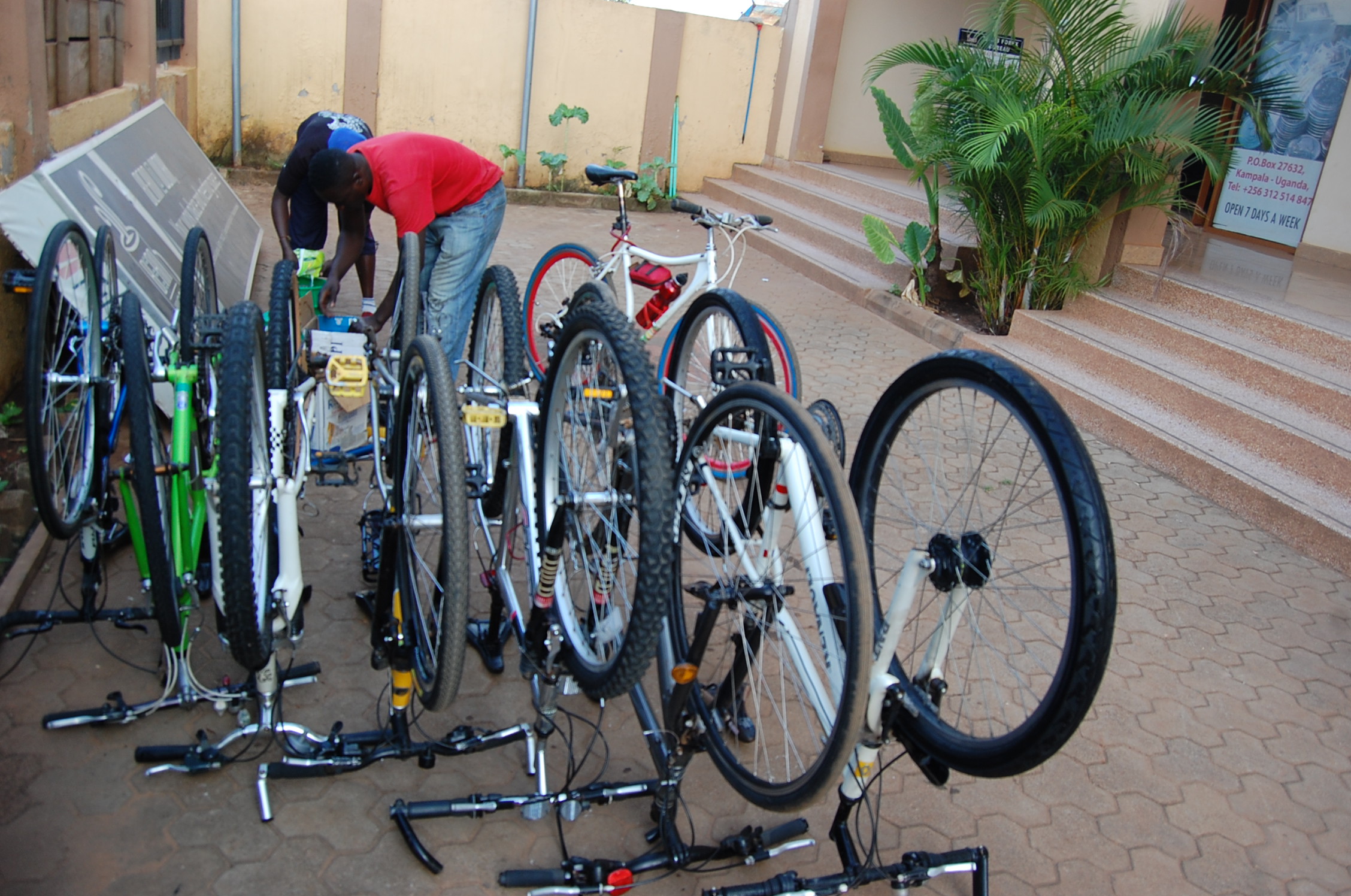Bicycle Rental Repair Go Free Uganda